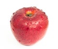 Riped red apple