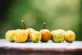 The  ripen fruits of childrenhood Royalty Free Stock Photo