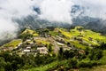 Ripen rice terraces in Ha Giang, Vietnam.