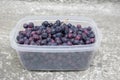 Ripened amelanchier fruits in transparent white plastic box, delicious and healthy fruit, ready to eat