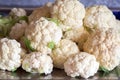 The ripened heads of cauliflower are in a heap in the kitchen.