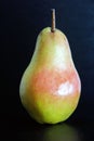bartlett pear still life Royalty Free Stock Photo
