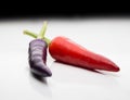 Ripening chili peppers. They are currently purple and red Royalty Free Stock Photo