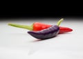 Ripening chili peppers. They are currently purple, but will eventually turn red Royalty Free Stock Photo