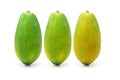 Ripening papaya fruits Royalty Free Stock Photo