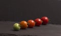 Ripening stages of tomato Royalty Free Stock Photo