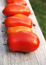 Ripening tomatoes