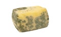 ripening yellow cheese. mold covered cheese, spoiled cheese