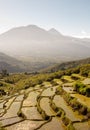 Ripid terraced rice field Royalty Free Stock Photo