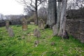 Rippavilla Plantation family cemetery tombstones grave markers