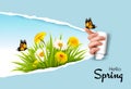 Ripped by hand paper background, revealing spring flowers Royalty Free Stock Photo