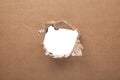 Ripped hole in cardboard on white background Royalty Free Stock Photo