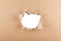 Ripped hole in cardboard on white background. Royalty Free Stock Photo