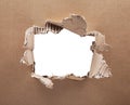 Ripped hole in cardboard on white background. Royalty Free Stock Photo