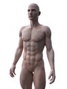A ripped male model