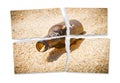 Ripped photo of a bottle of beer resting on the beach - Alcoholism and tobacco addiction concept