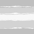 Ripped squared horizontal grey paper strips for text or message are on white background. Vector illustration