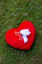 Ripped stuffed heart with jewelry lying in the grass