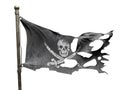 Ripped torn flag Royalty Free Stock Photo
