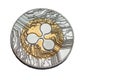 Ripple coin