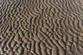 Ripple marks on the Dutch North Sea coast Royalty Free Stock Photo