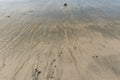 Ripple marks on sand beach Royalty Free Stock Photo