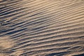 Ripple marks (wind ripples) on the sandy beach. Royalty Free Stock Photo