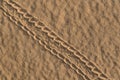 Ripple patterns and animal foot track Royalty Free Stock Photo