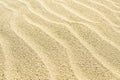 Ripple patterns of a sand dune surface. Top view. Close up Royalty Free Stock Photo