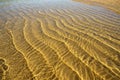 Ripple patterns on sand Royalty Free Stock Photo