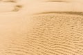 Ripple sand dunes desert background. Ocean floor seabed at low tide in Australia Royalty Free Stock Photo