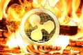 Ripple XRP coin buring in Bonfire,