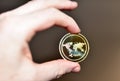 Ripple XRP Gold crypto coin in hand. Ripple XRP and cryptocurrency investing concept. Blockchain and financial technology.