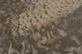 Rippled golden brown desert sand Texture background Royalty Free Stock Photo