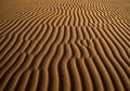 Rippled patterns in sand dunes, with sunlight casting shadows and Royalty Free Stock Photo
