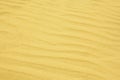 Rippled sand background Royalty Free Stock Photo