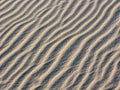 Rippled sand background with wind-blown furrows Royalty Free Stock Photo