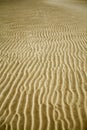 Rippled sand beach at sunset Royalty Free Stock Photo