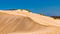 Rippled sand dunes at the Donnelly river mouth beach at Pemberton WA