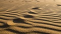 Rippled Sand Dunes with Footprints and Long Shadows in Golden Hour Sunlight sand ripples Royalty Free Stock Photo
