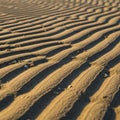 Showcasing the interplay between light and shadow on the sand s Royalty Free Stock Photo