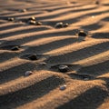 Rippled sand dunes with scattered small Royalty Free Stock Photo