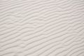 Rippled Sand Formed by Wind Royalty Free Stock Photo