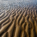 Smooth curving ridges with shallow valleys creating a visually striking Royalty Free Stock Photo