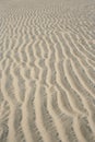 Rippled sand texture