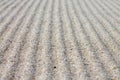 Rippled sand texture for background. Royalty Free Stock Photo