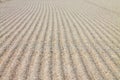 Rippled sand texture for background. Royalty Free Stock Photo