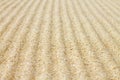 Rippled sand texture for background. Royalty Free Stock Photo