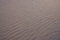 Rippled Sand Texture Royalty Free Stock Photo