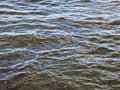 Rippled Sea Water, late Afternoon, Natural Textured Background Royalty Free Stock Photo